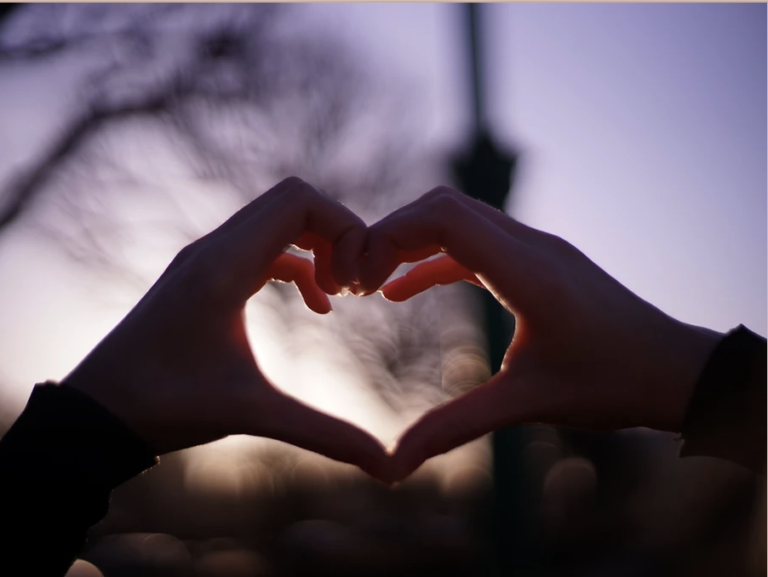 A person making a heart with their hands